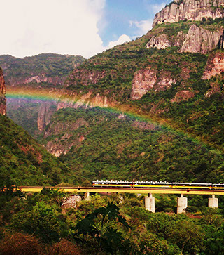 Talleres de Reciclaje Online vía zoom para niños de 1° a 8° básico.